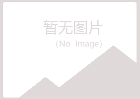 鹤岗兴山涟漪培训有限公司